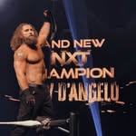 Joey Ariola banner