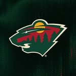 Minnesota Wild banner