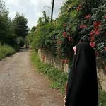 Zainab Al-Mosawi banner