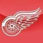 Detroit Red Wings NHL banner