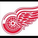 Detroit Red Wings banner