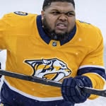 NashvillePredsScores banner