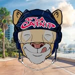 Florida Panthers Podcast banner