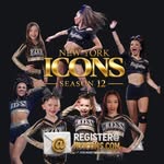 NEW YORK ICONS banner