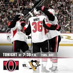 ottawa senators banner