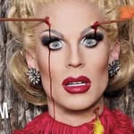 Katya banner