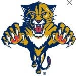 Florida_Panthers banner