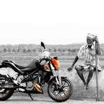 shxz.amn banner