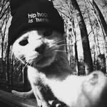 Enache Bianca banner