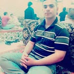majid-fazeli banner