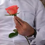 سلمان الواصلي banner