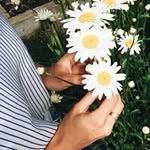 الحمُدالله 🌸. banner