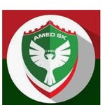 amed store banner