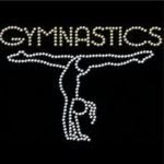 Gymnastics Lover. Goal 1 Mill banner