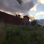 PEPE_OFFICIAL_678 banner