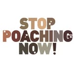 save_worldwildlife banner