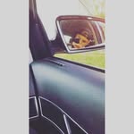 = D o m e = banner