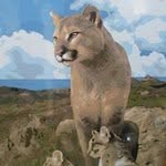 Santa Monica Mountains Fund banner