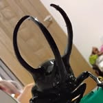 安特 banner