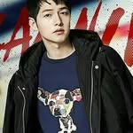 songjoongki.oppa banner